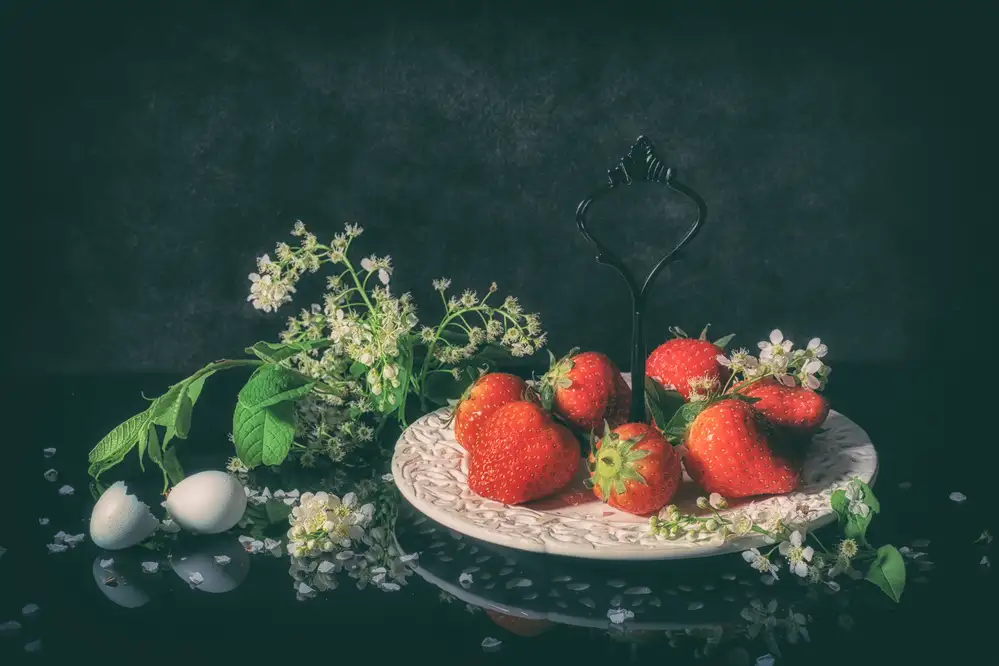Velzen, van Monique: Spring still life