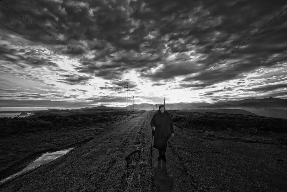 Lobato, C. Jose: The walk