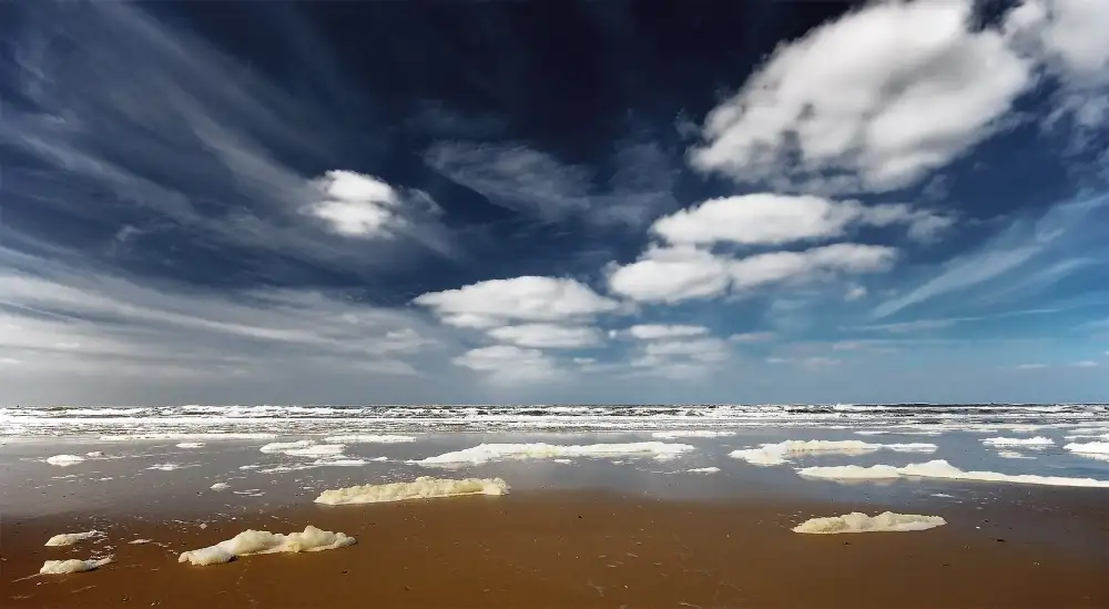 Leon: Clouds Everywhere