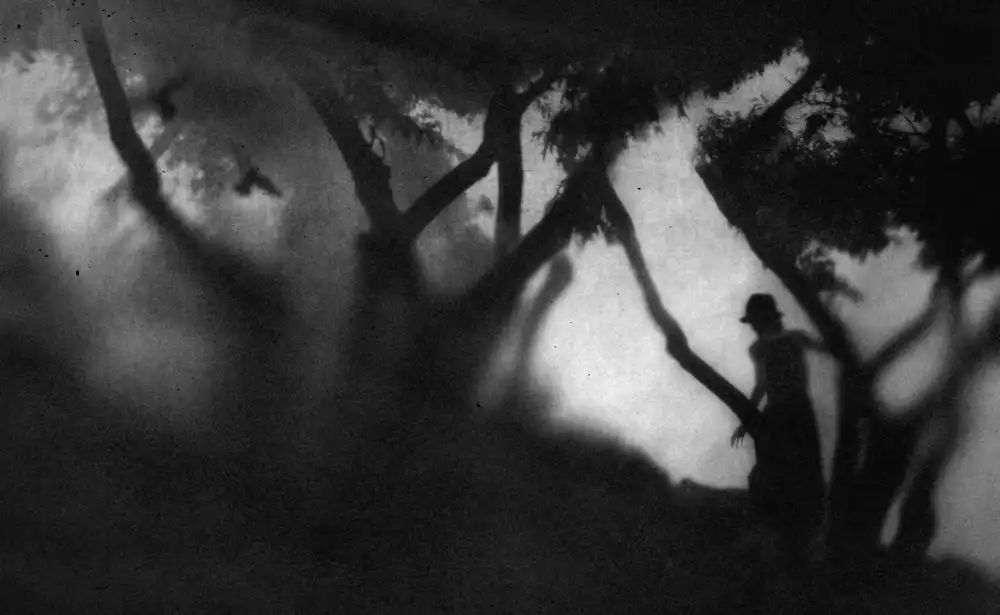 Tsuchida, Teruhiko: Light and darkness...