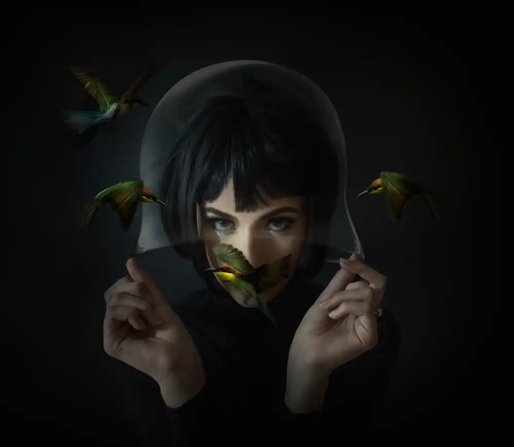 hardibudi: Four little birds