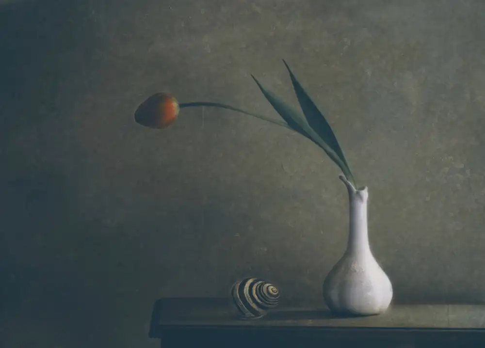 Devos, Delphine: The Shell