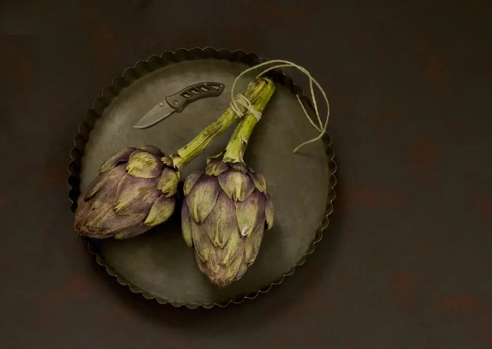 Zaane, van Alida: Artichoke