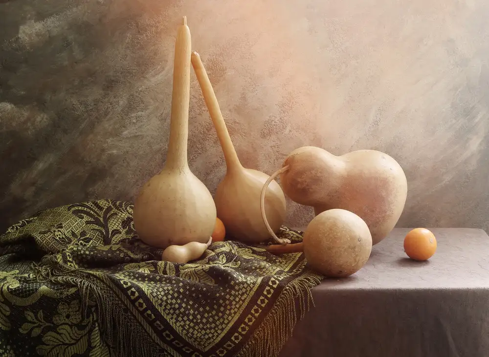UstinaGreen: Still life with medicinal pumpkins