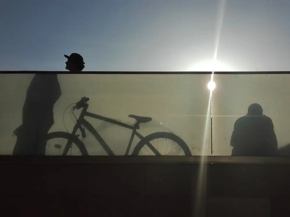 Suciu, Paul: Estate