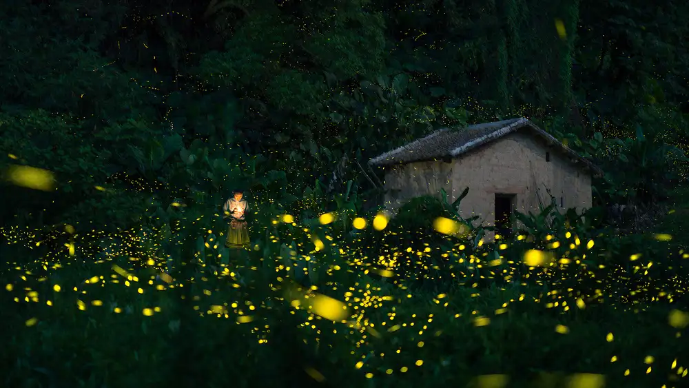 Zhu, Hua: A little girl and firefly