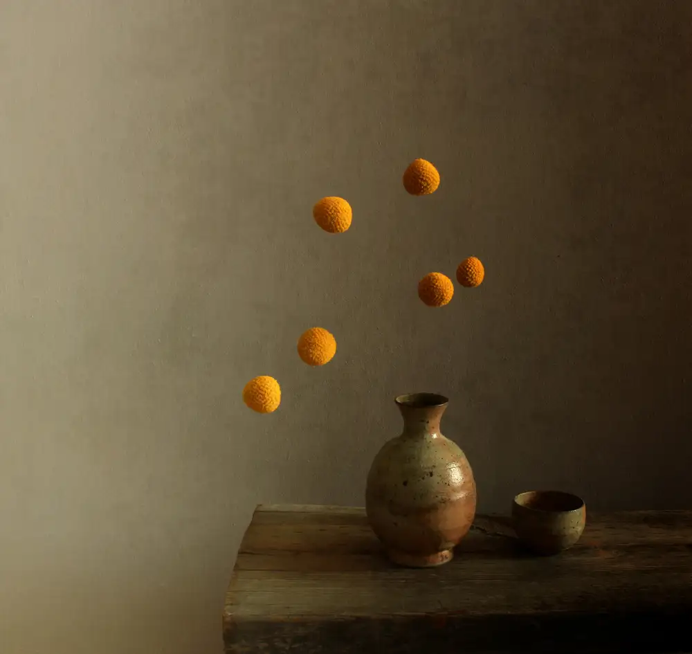 Halaby, Margaret: The Juggler