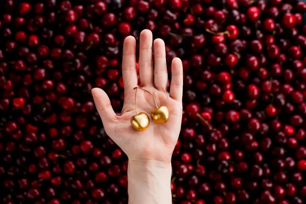 Belenko, Dina: Cherry picking
