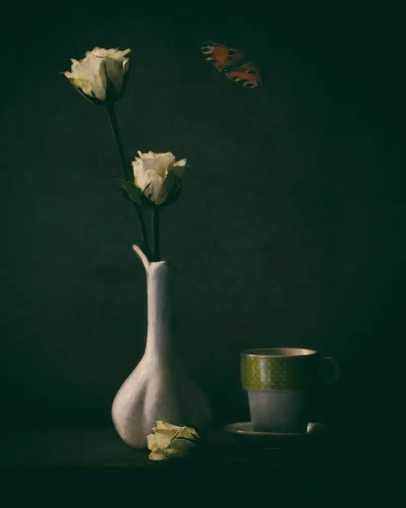 Devos, Delphine: Weiße Rosen