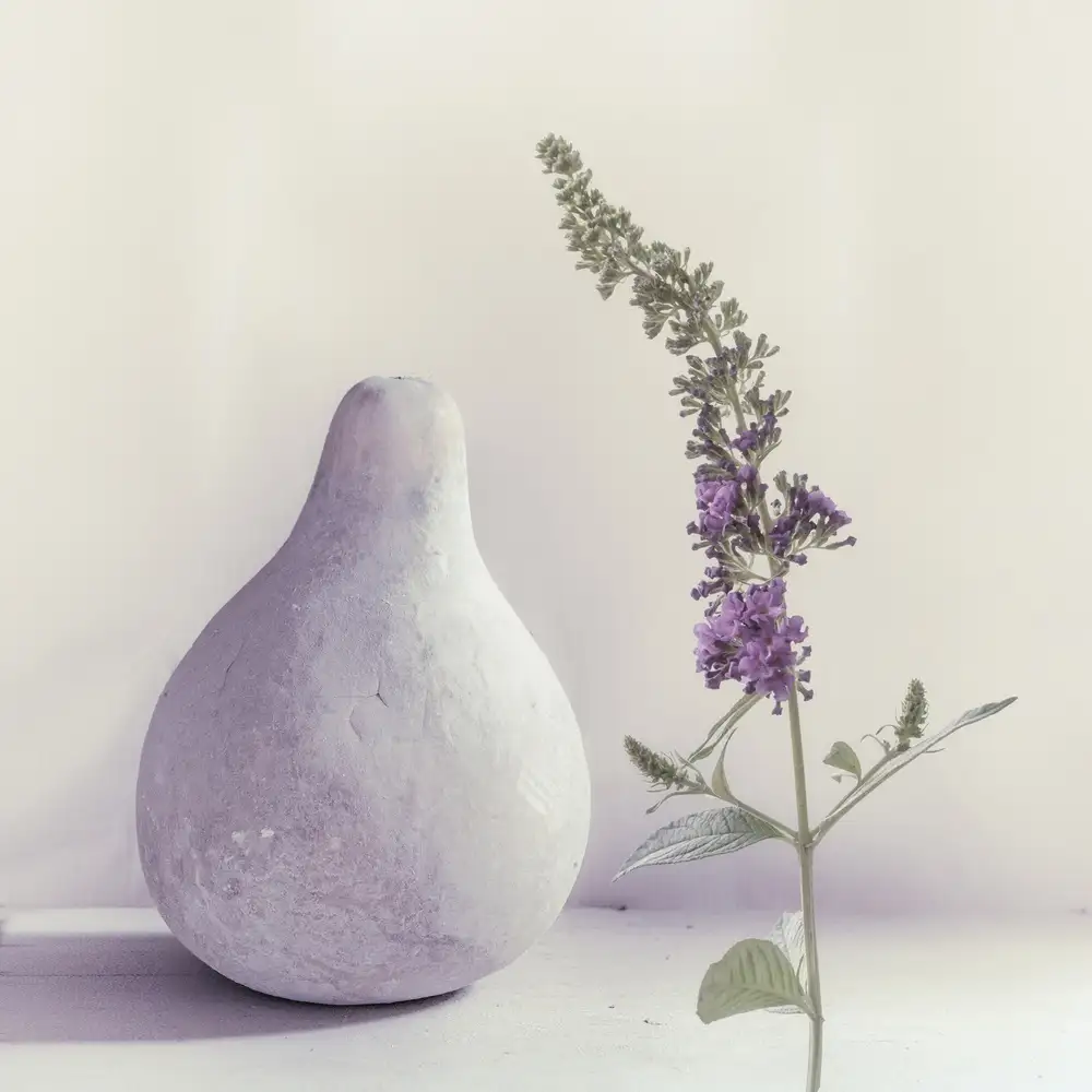 Flour, Piet: summer lilac