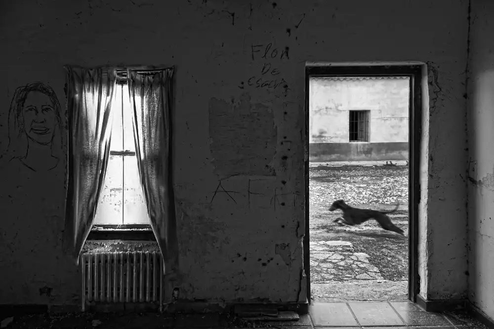 Lobato, C. Jose: Die letzten Tage der Stadt
