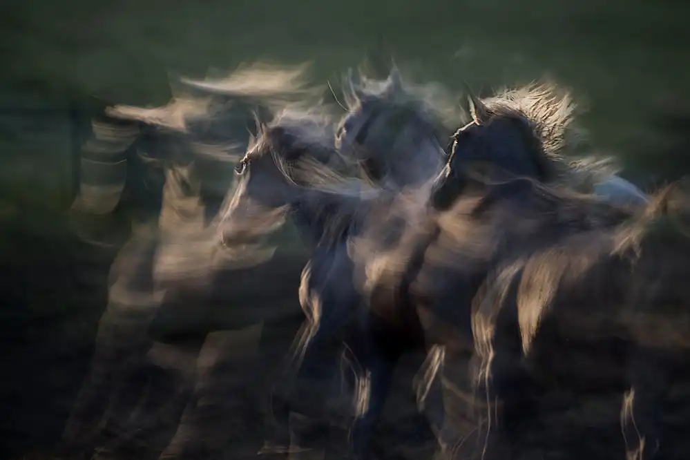 Malovrh, Milan: au galop