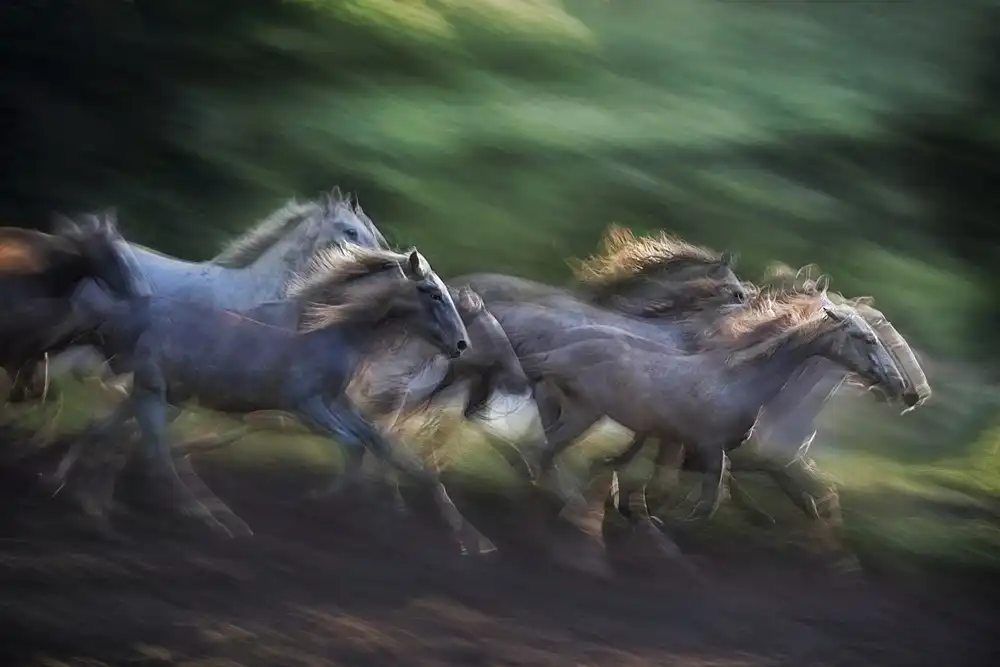 Malovrh, Milan: trapano a cavallo