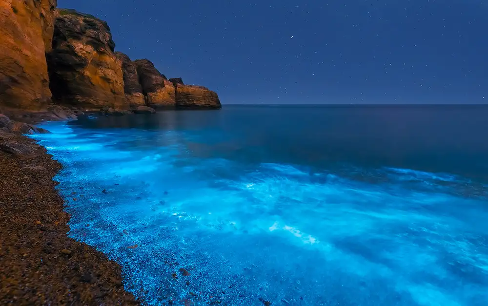Zhu, Hua: Bioluminescent Bay