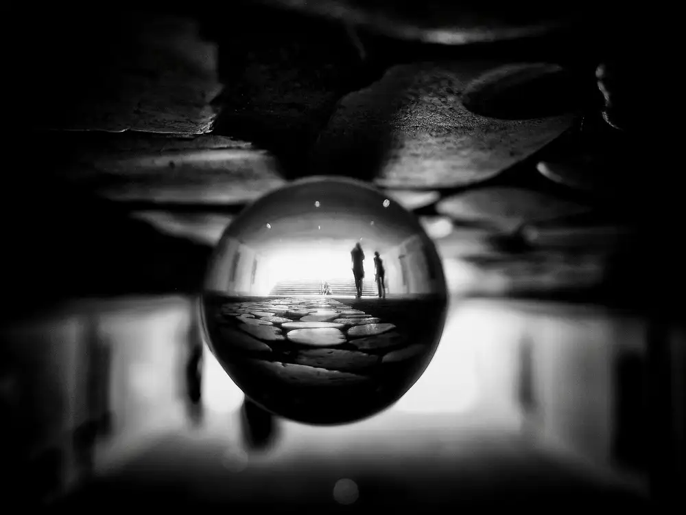Momanu, Mirela: Walk in A Magic World