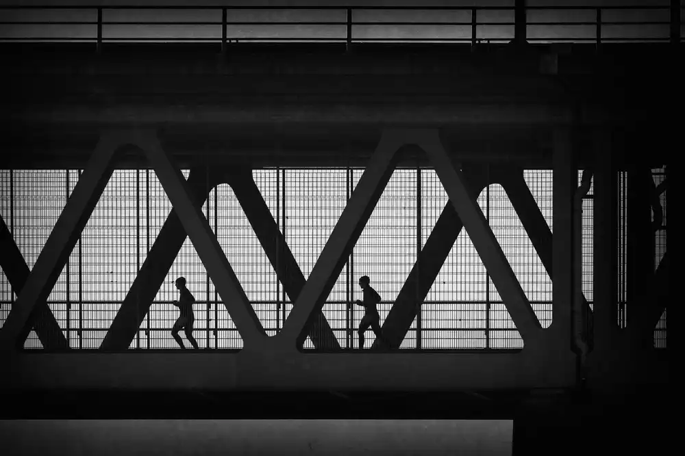 Schleicher-Schwarz, Roswitha: Joggers en cage