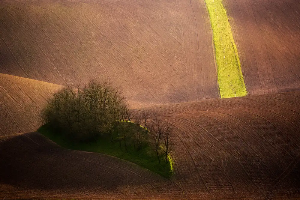 Rojek, Tomasz: Rolling hills