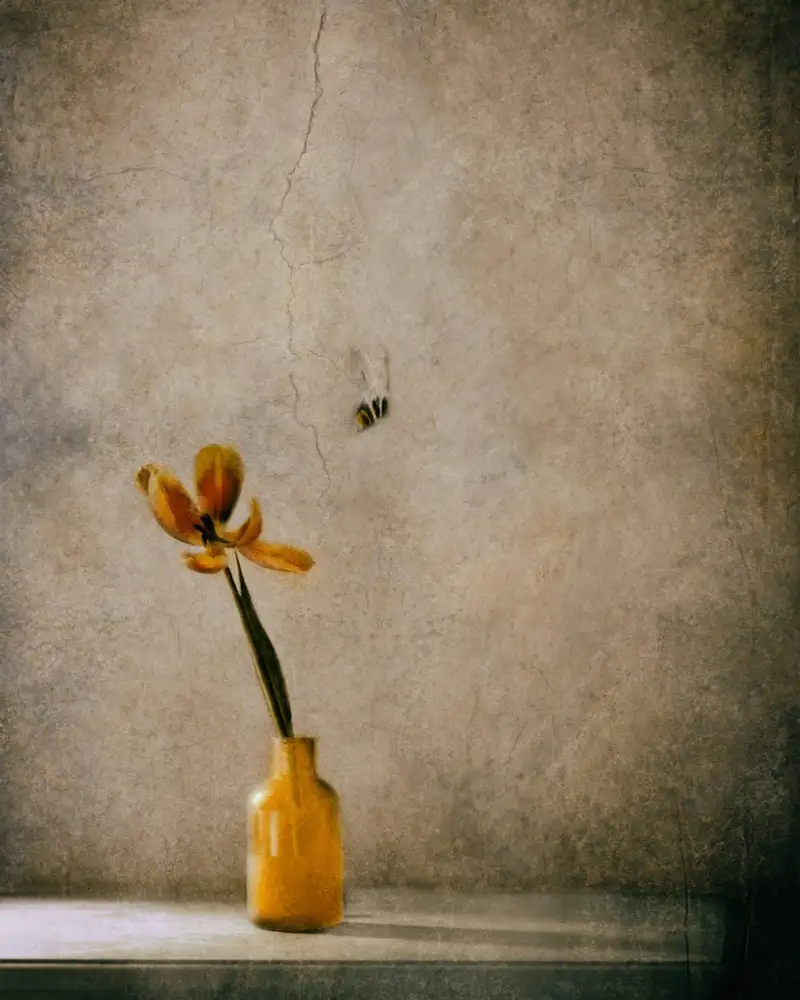 Devos, Delphine: Die Blume und die Biene