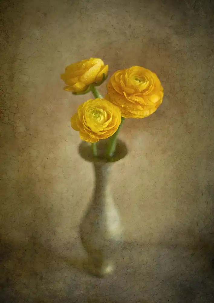 Tokarev, Igor: Yellow buttercups