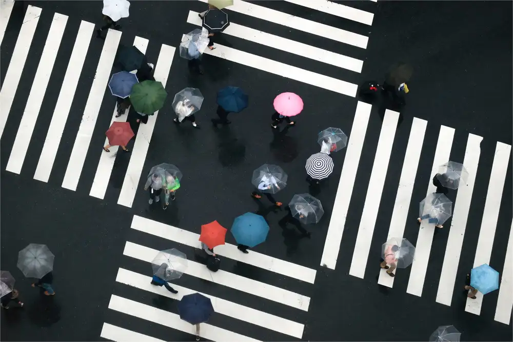 Sakamoto, Haruyo: Flowers of the crossroads