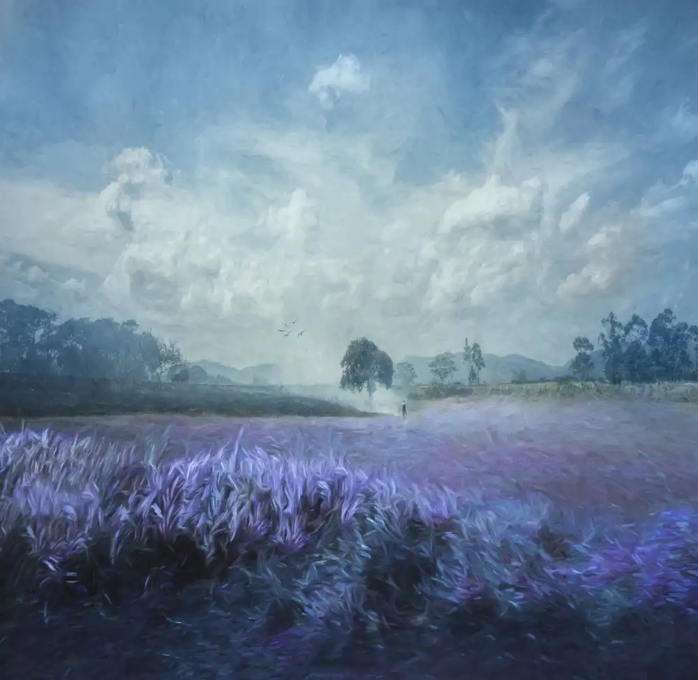Blease, Joan: Purple Fields