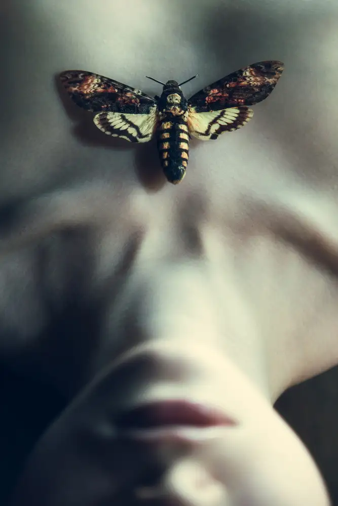 Russocka, Magdalena: Moth