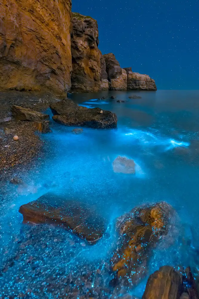 Zhu, Hua: Bioluminescent Bay