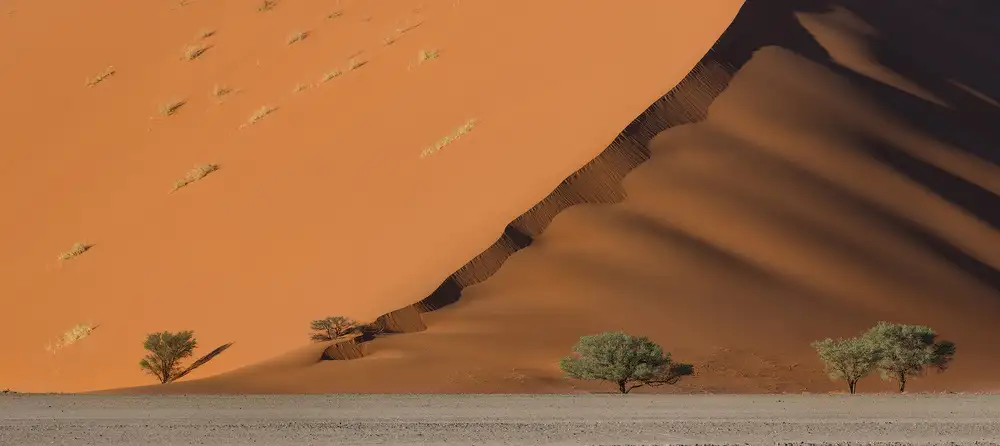 Marchegiani, Roberto: Dune