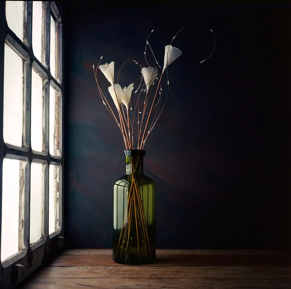 Laercio, Luiz: La bouteille verte