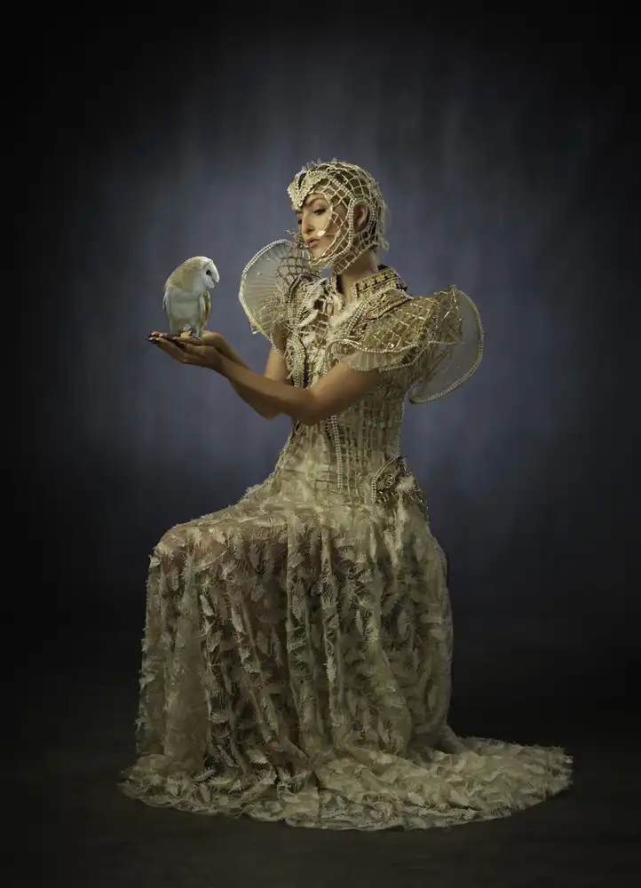 Studio, Catchlight: The Owl Whisperer