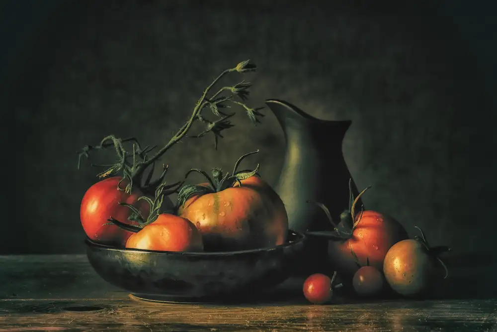 Velzen, van Monique: Still life summertime