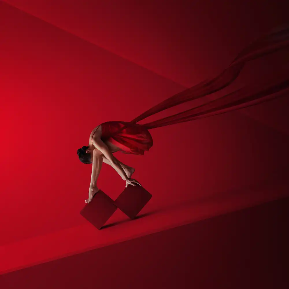 hardibudi: ROTE SEELE