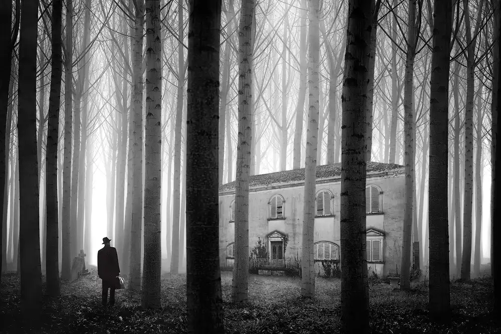 Bizziocchi, Marco: THE HOUSE