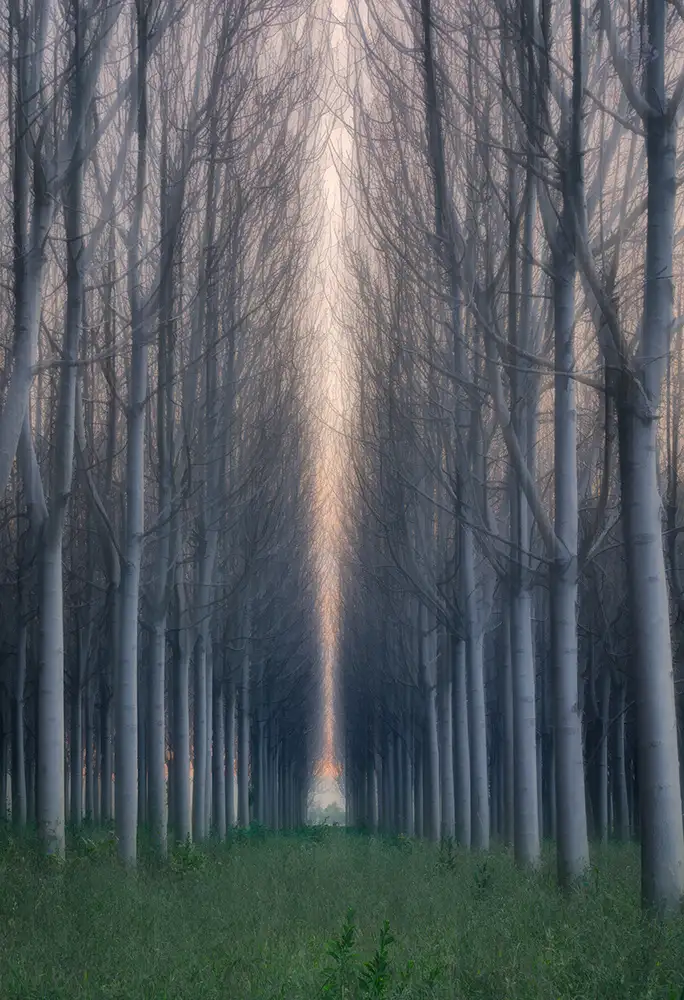 Zhu, Jingshu: Moment of Silence