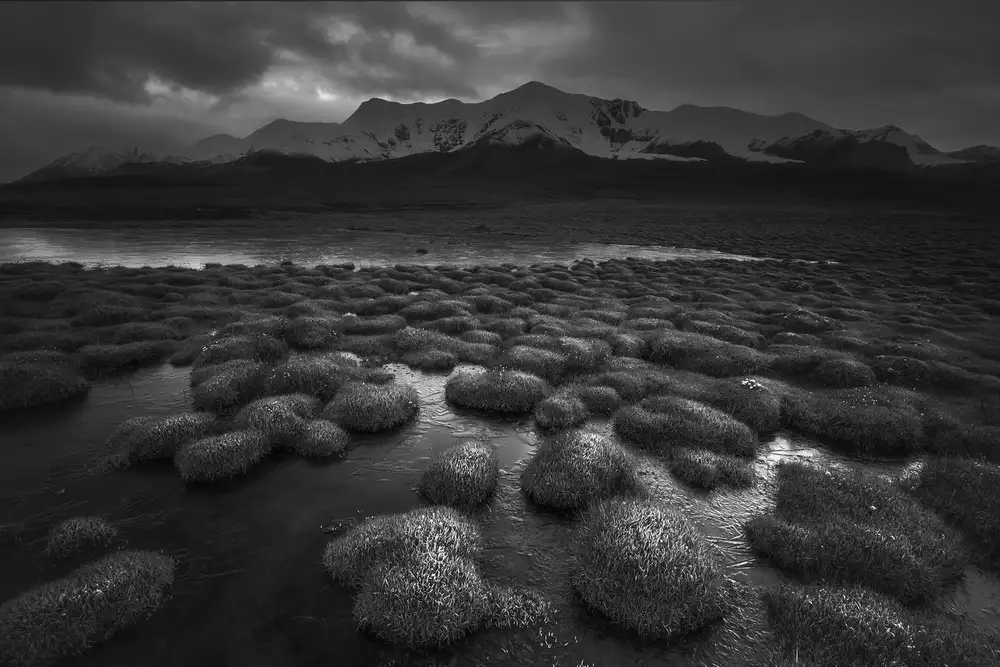 Tianqi: The foot of the snow mountain