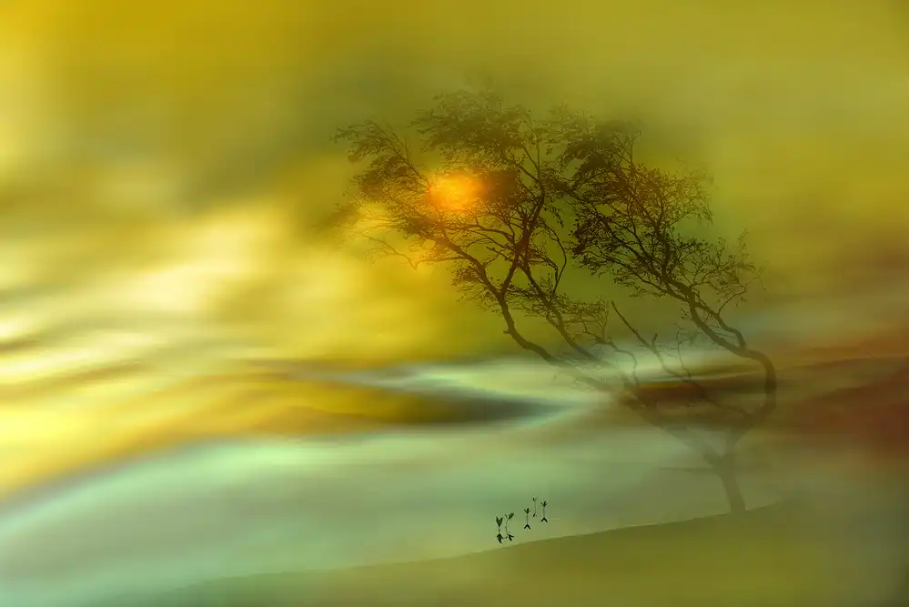 Westum, Heidi: In a yellow mood