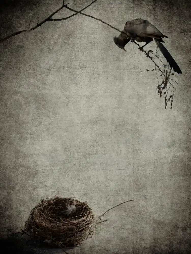 Grohovaz, Gaby: Empty Nest Syndrome