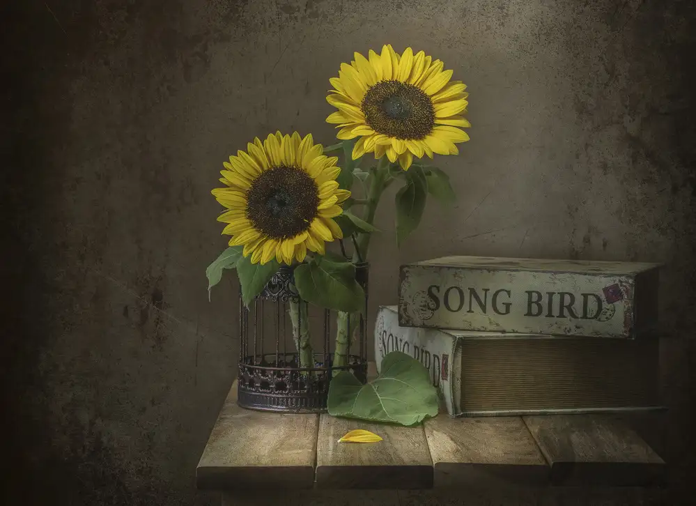 Perfoncio, Margareth: Sonnenblume