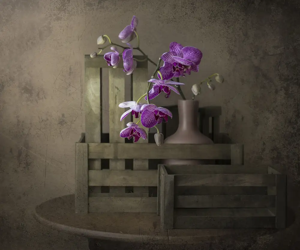 Perfoncio, Margareth: Die Schönheit der Orchidee