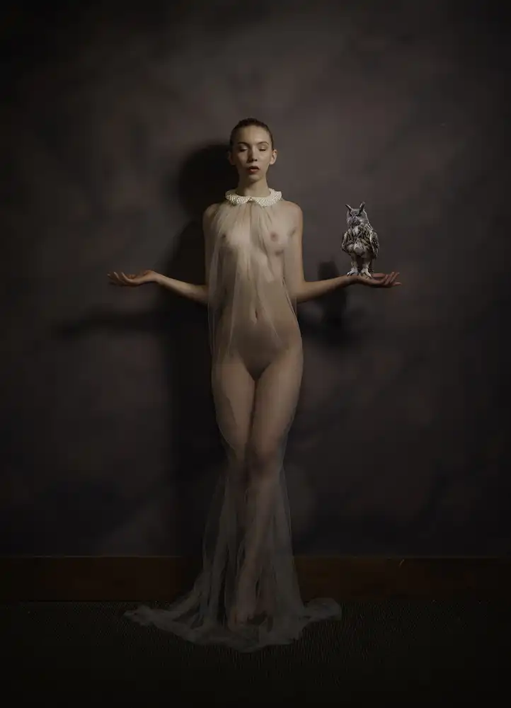 Studio, Catchlight: L'attrape-hibou