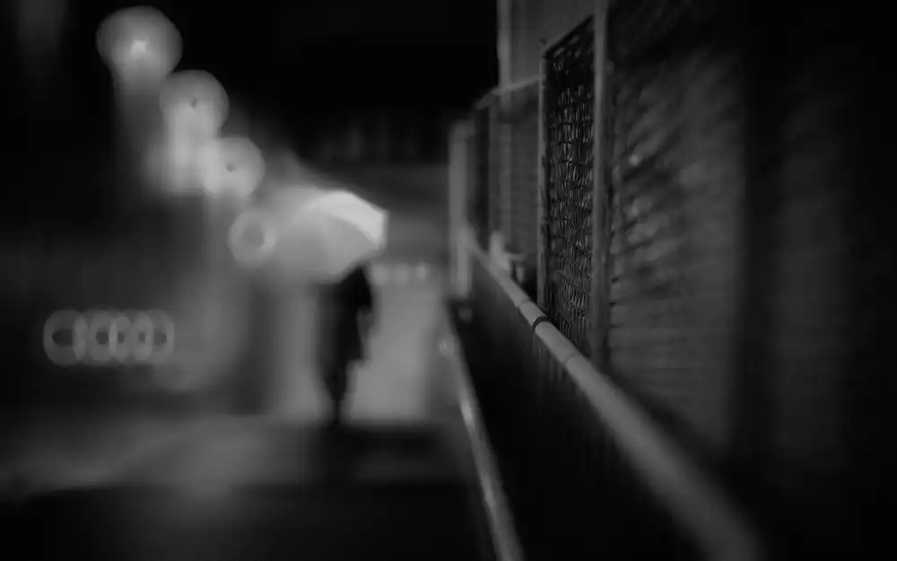 Tsuchida, Teruhiko: Notte piovosa
