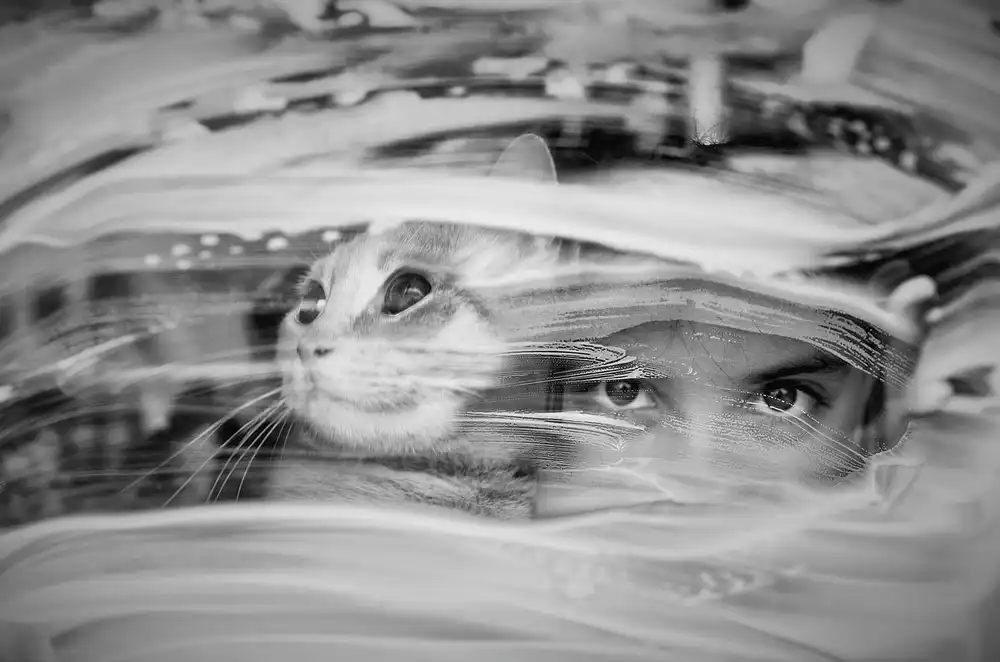 Basa, Emine: cat and girl