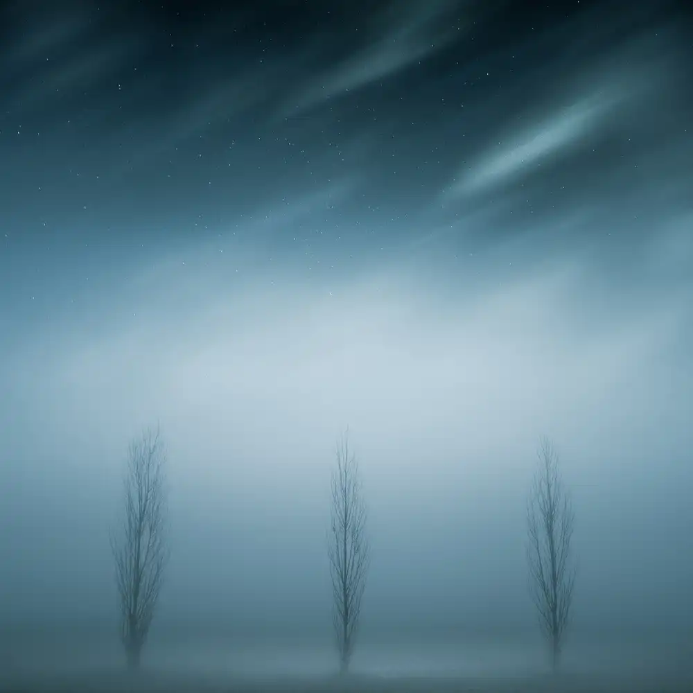 Fraccaroli, Andrea: Three
