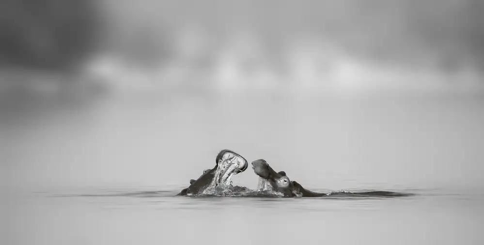 Chang, Phillip: Gespräch über Wasser