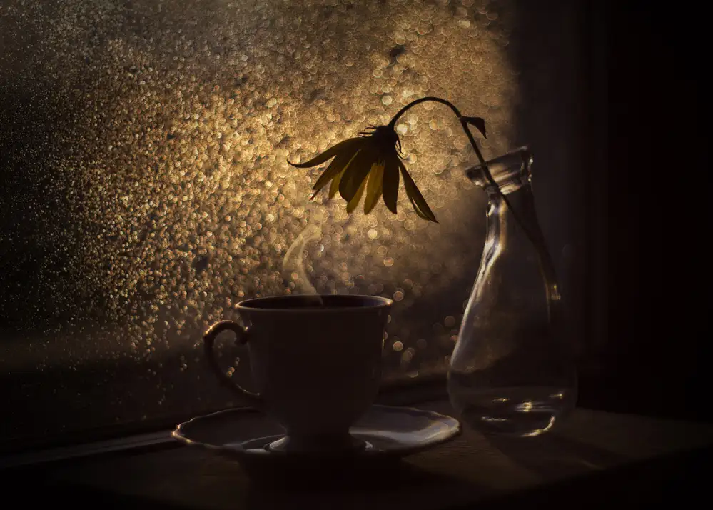 Lenka: Turning Seasons