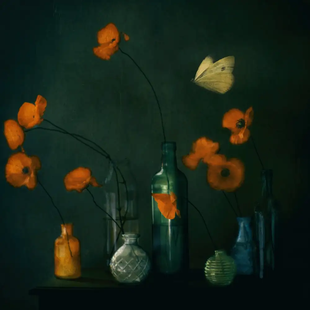 Devos, Delphine: I Dreamt,I Dreamt Of Poppies (dunkle Stimmung)