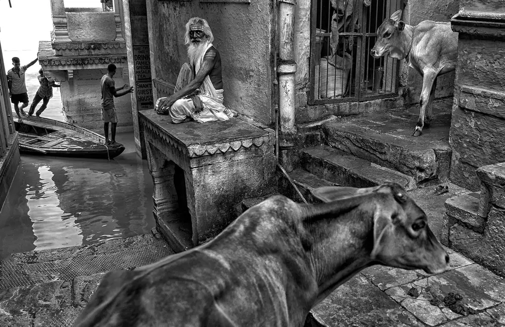 Das, Avishek: Life at Stairs