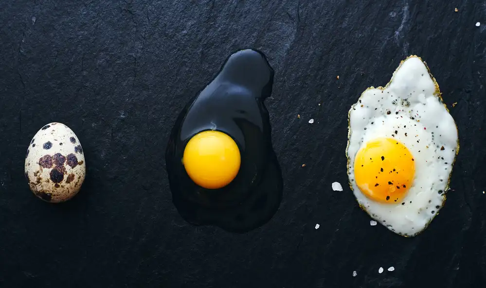 Karina, Aleksandrova: The Egg Way