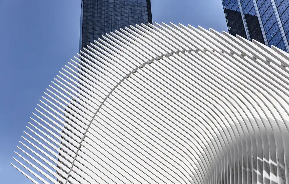 Carvalho, Jackson: Oculus
