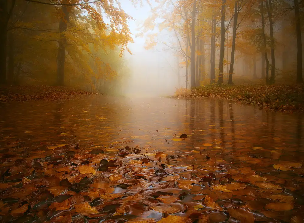 Lazzarotti, Paolo: AUTUMN FLOODING